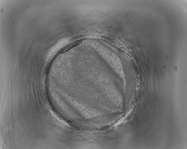 X0000088400197200706121243