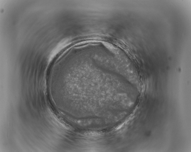 X0000088400198200706121243