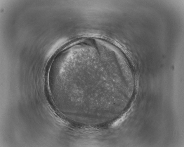 X0000088400199200706121243