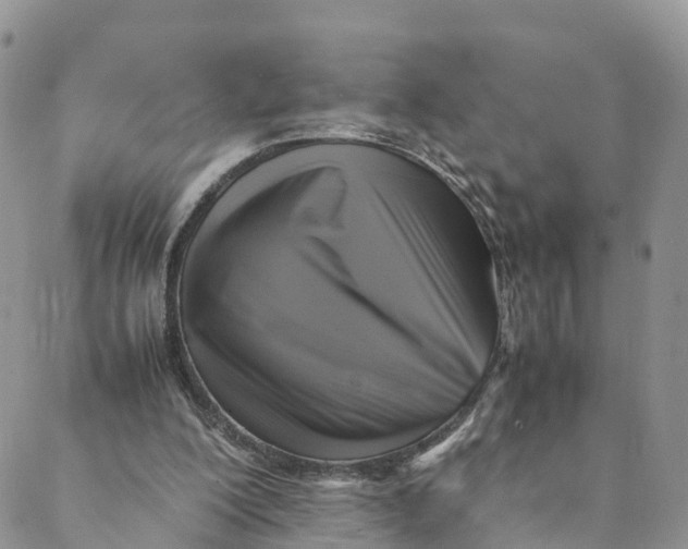 X0000088400200200706121243