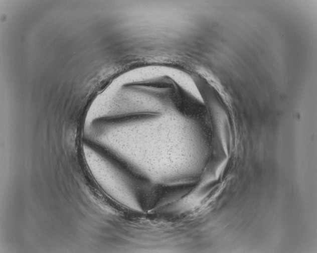 X0000088400201200706121243