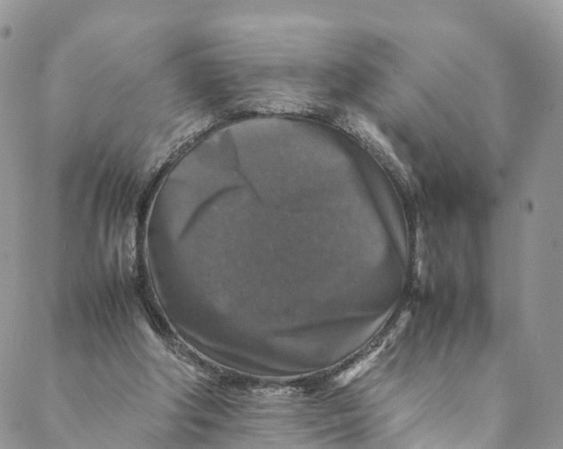 X0000088400202200706121243