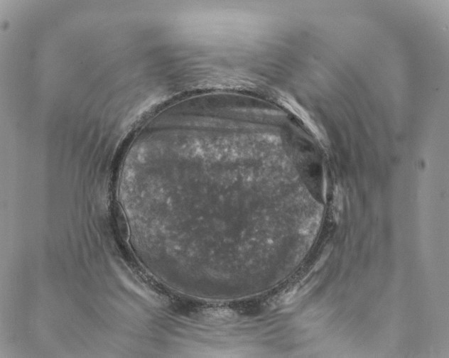 X0000088400203200706121243