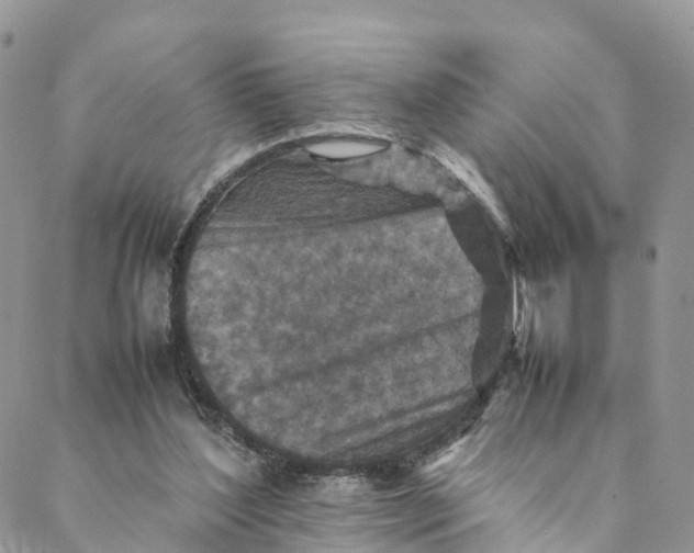 X0000088400204200706121243