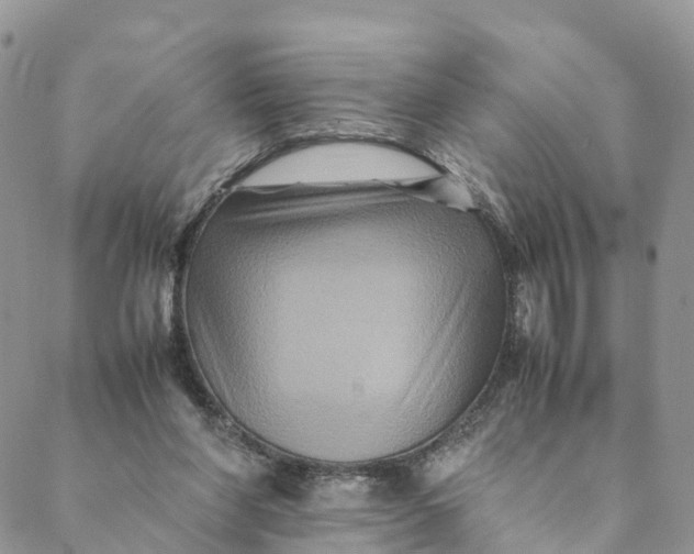 X0000088400206200706121243