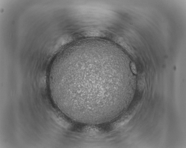 X0000088400207200706121243