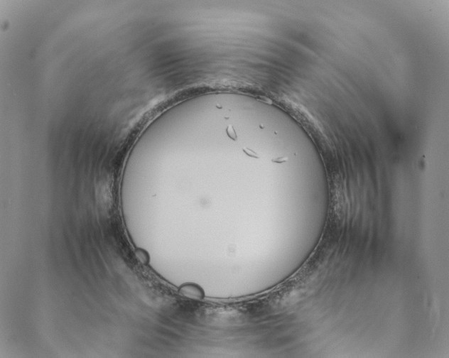 X0000088400208200706121243