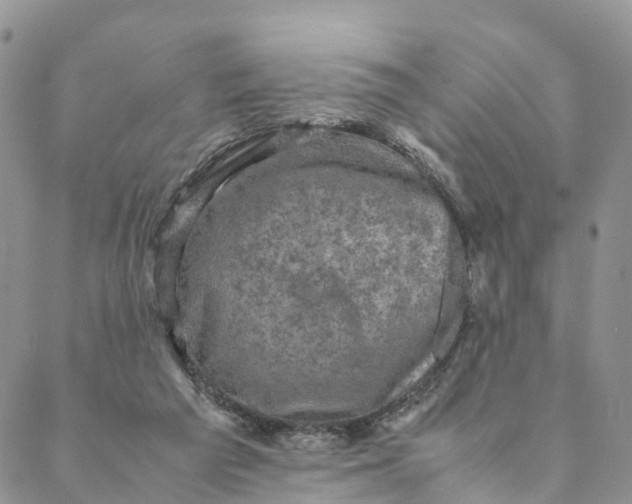 X0000088400209200706121243