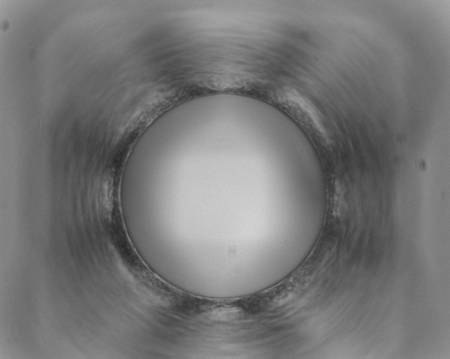 X0000088400210200706121243