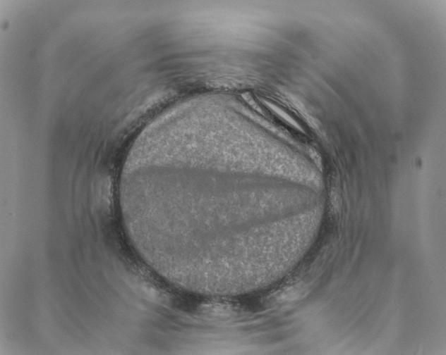 X0000088400211200706121243