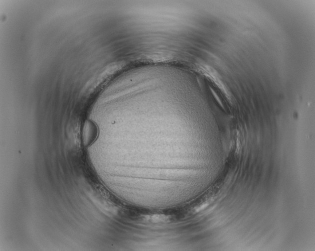 X0000088400212200706121243