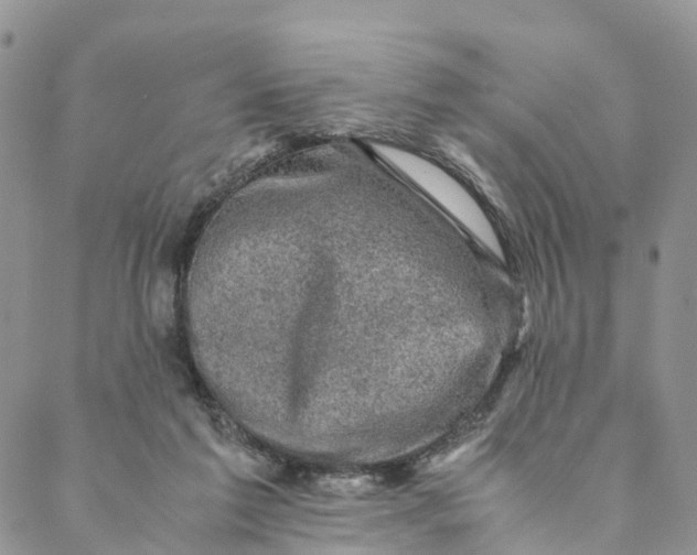 X0000088400213200706121243