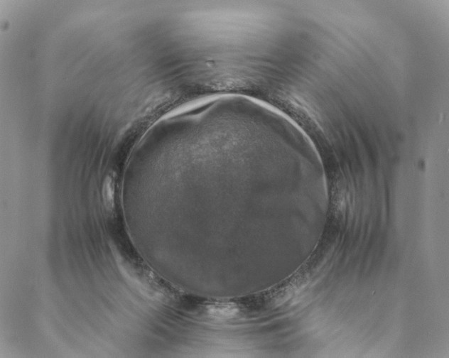 X0000088400214200706121243