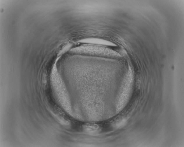 X0000088400215200706121243