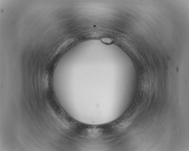 X0000088400216200706121243