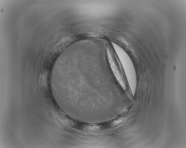 X0000088400217200706121243