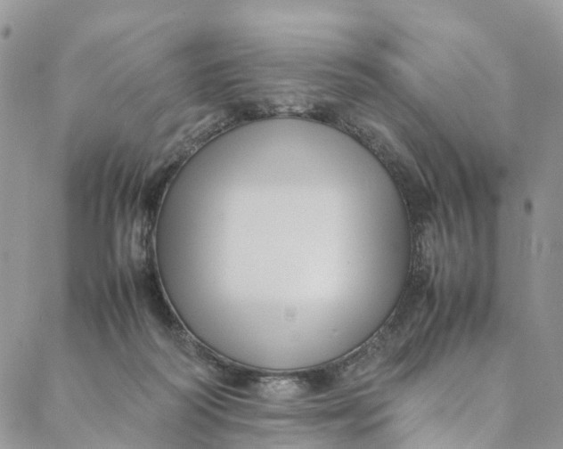 X0000088400218200706121243