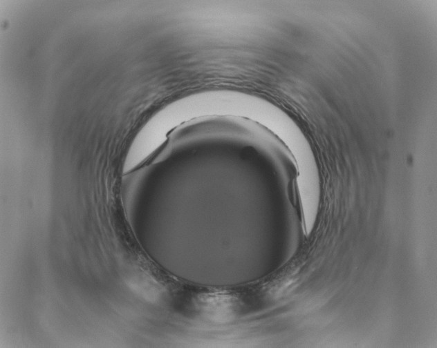 X0000088400219200706121243