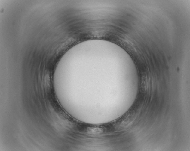 X0000088400220200706121243