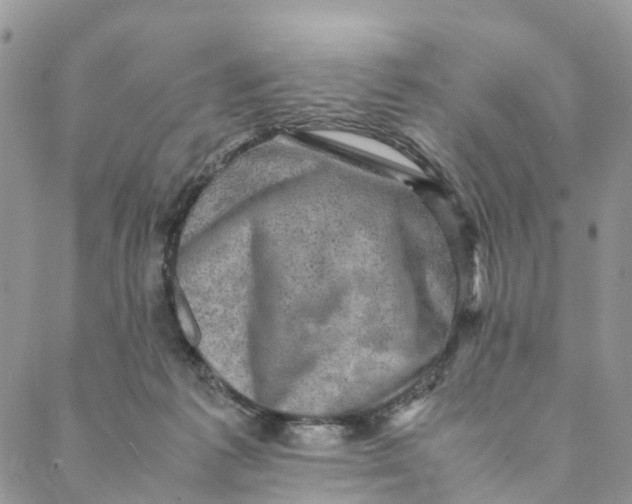 X0000088400221200706121243