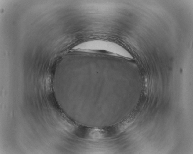 X0000088400222200706121243