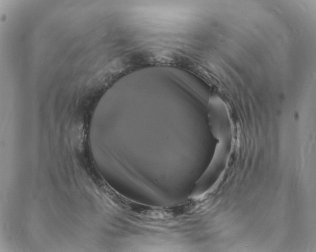 X0000088400223200706121243