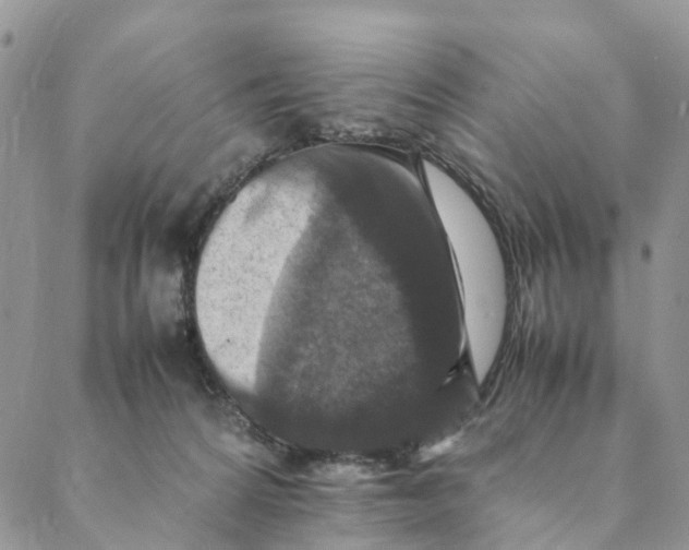 X0000088400224200706121243