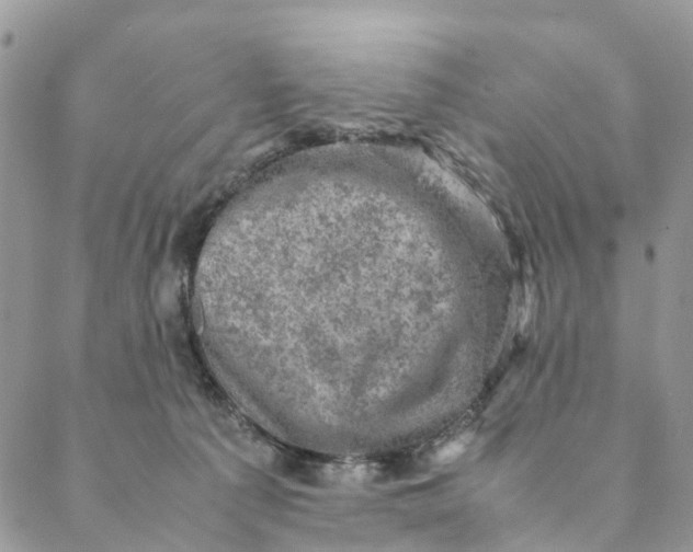 X0000088400225200706121243