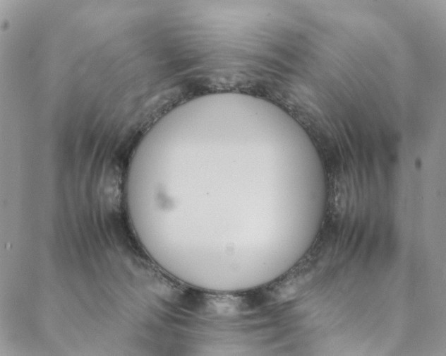 X0000088400226200706121243