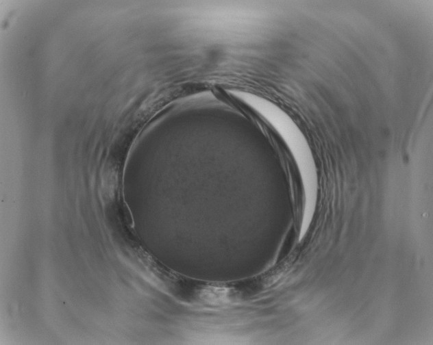 X0000088400227200706121243