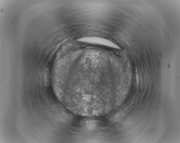 X0000088400228200706121243