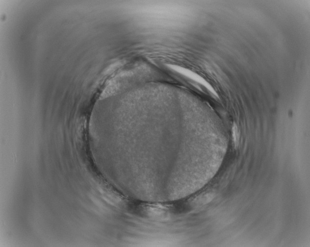 X0000088400229200706121243