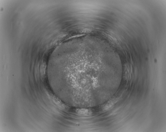 X0000088400230200706121243