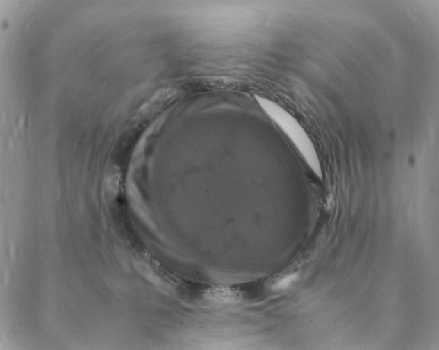 X0000088400231200706121243