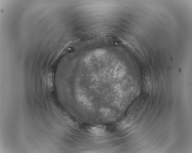 X0000088400232200706121243