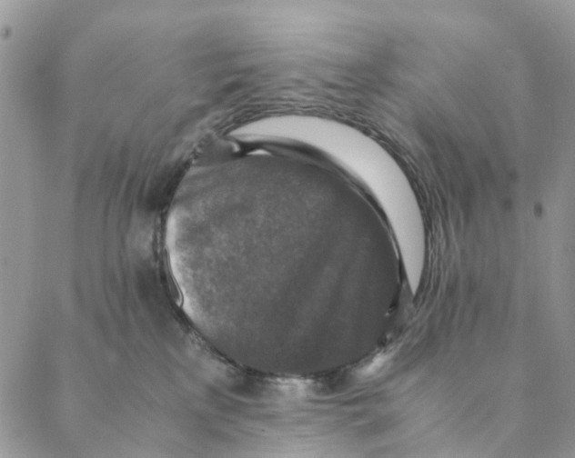 X0000088400233200706121243