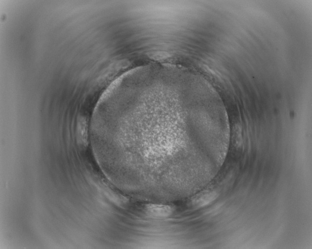 X0000088400234200706121243