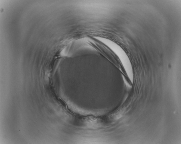 X0000088400235200706121243