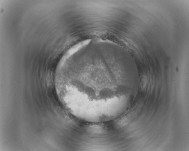 X0000088400236200706121243