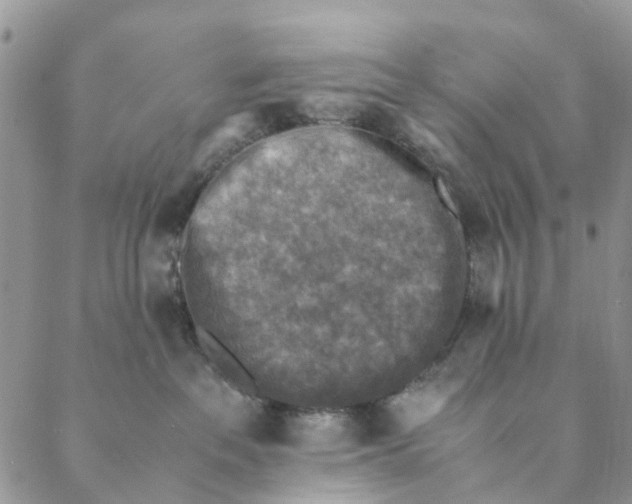 X0000088400237200706121243