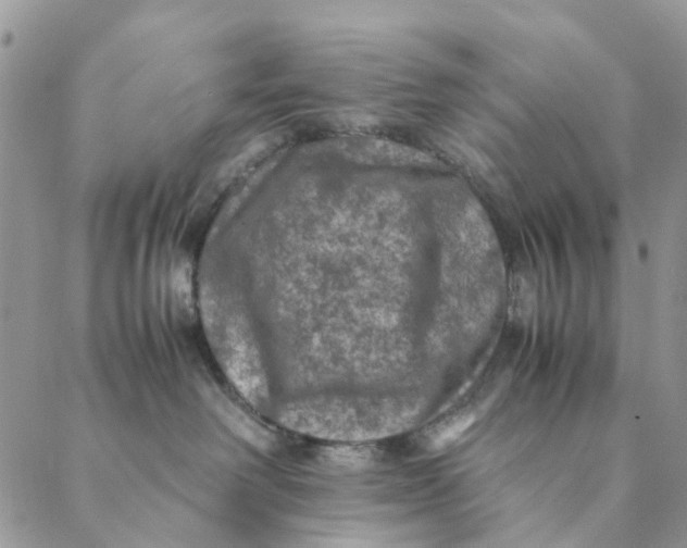 X0000088400238200706121243