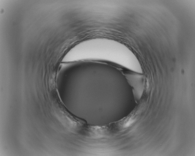 X0000088400239200706121243