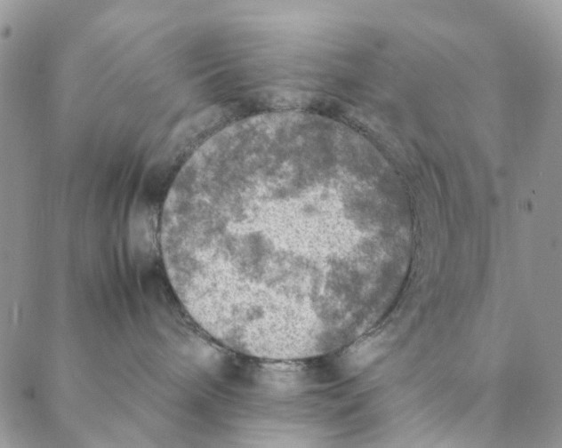 X0000088400240200706121243