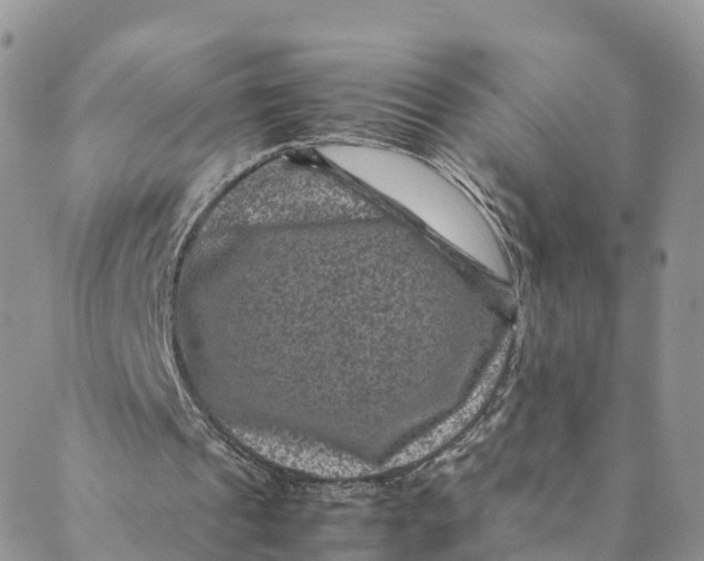 X0000088400241200706121242