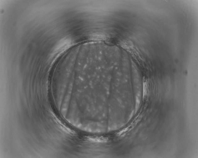 X0000088400243200706121242