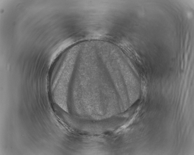 X0000088400244200706121242