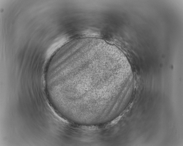 X0000088400245200706121242