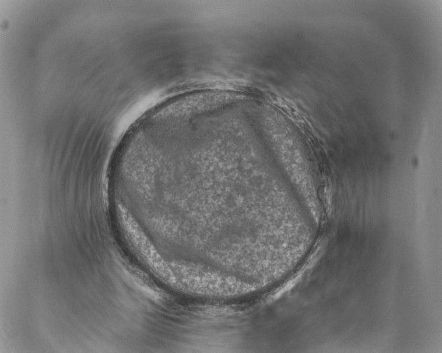 X0000088400246200706121242