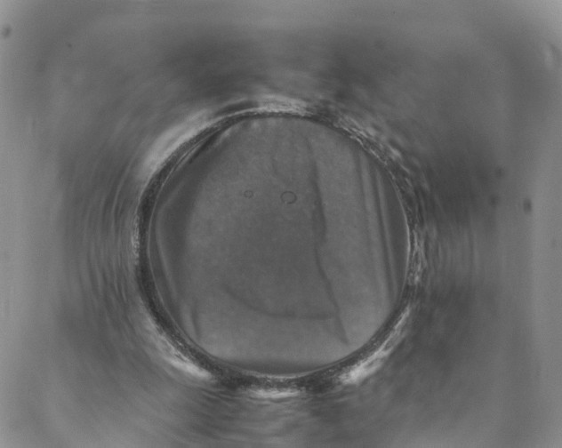 X0000088400247200706121242