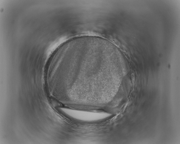 X0000088400248200706121242